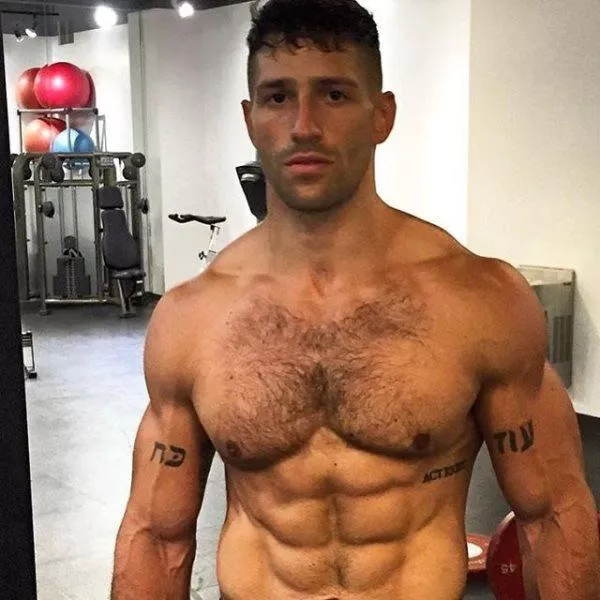 “Noah Neiman” …