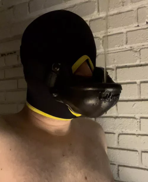 Piss is a terrible thing to waste