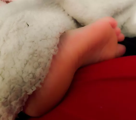 Poking out from the blanket to tease you and make you hard