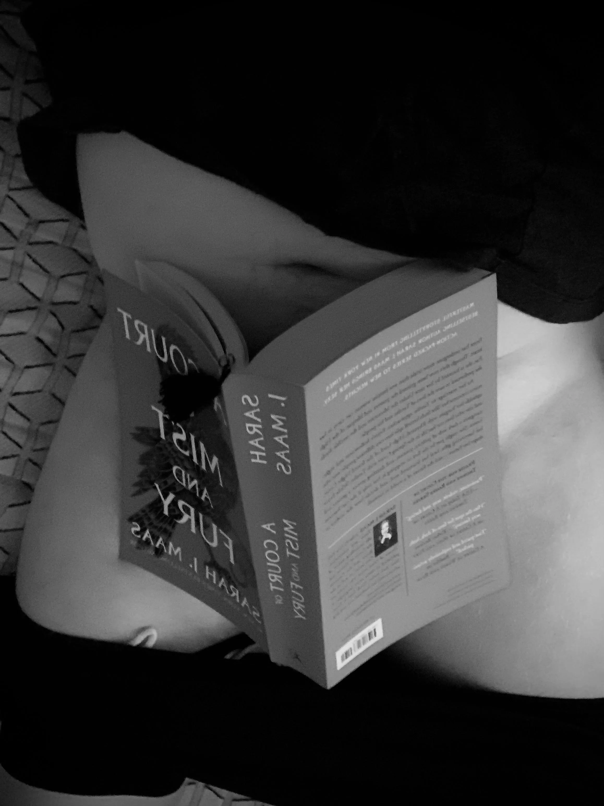 sent to a friend who suggested I read this series when she asked how I was liking it