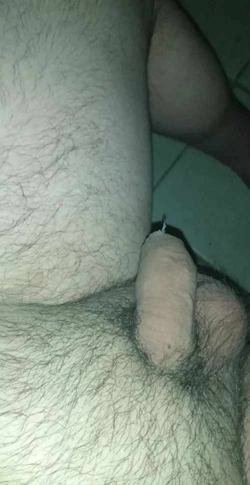 small cock want to Trade dm me :)