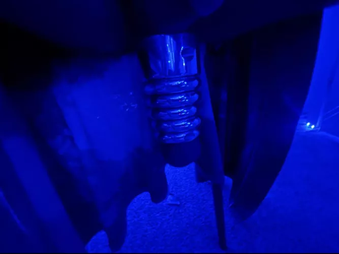 Smoke And Chill, Wanna Play With Them?