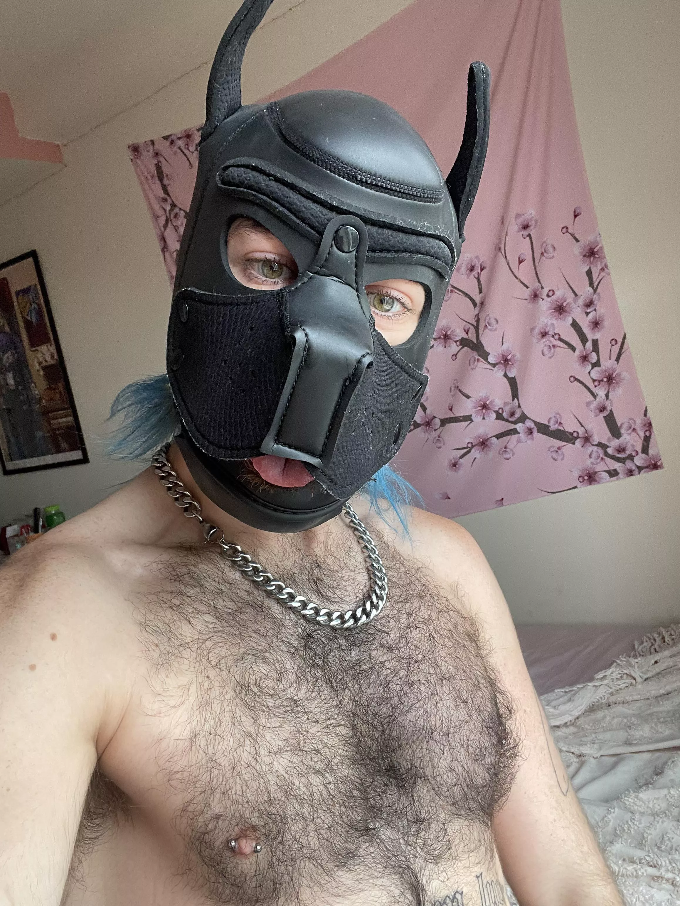 *squeaky toy noises*