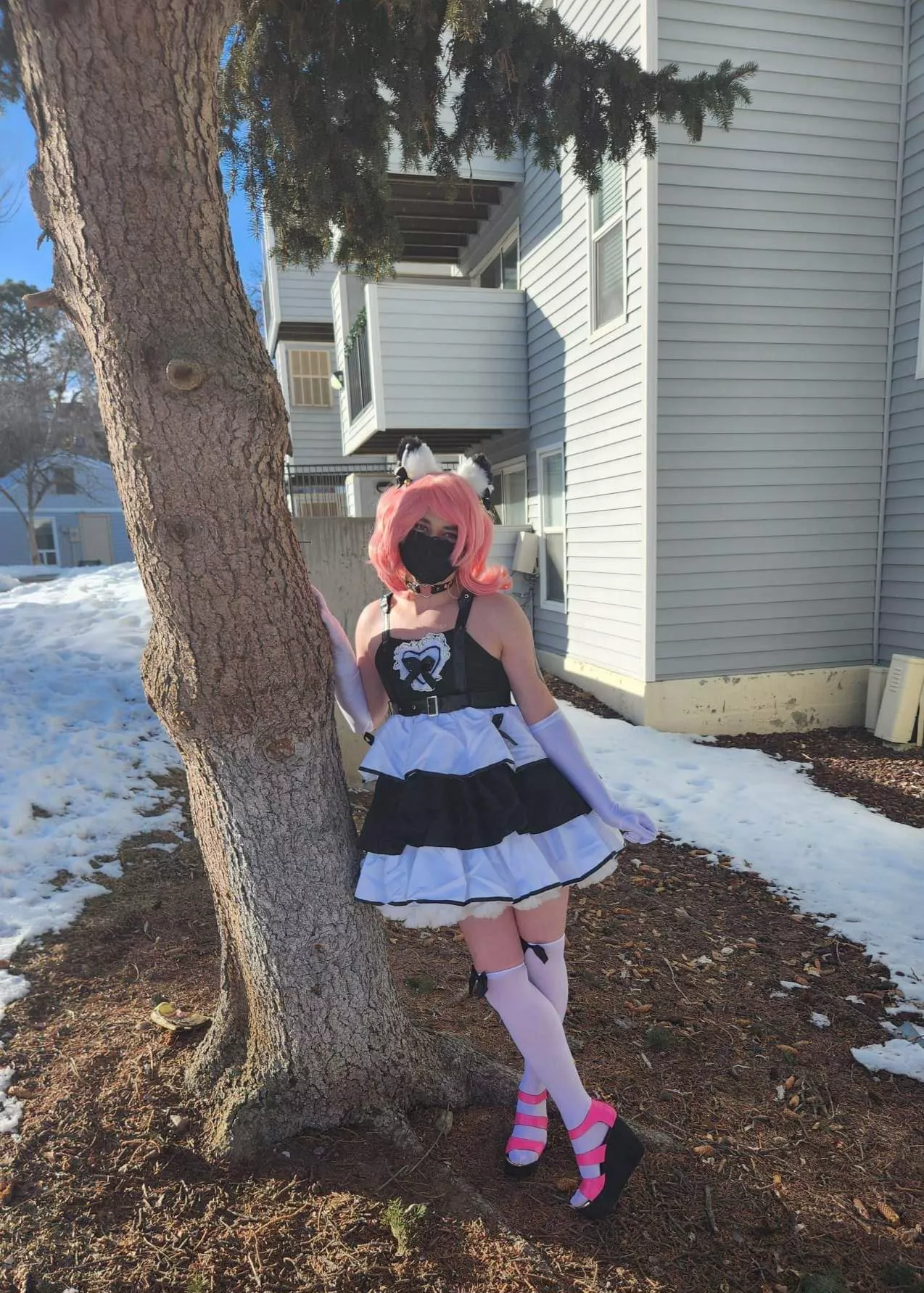 🩵☀️❄️Sunny Snow Day ❄️☀️🩵