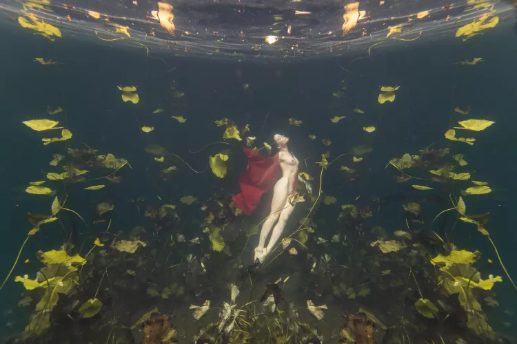 Swimming naked in lilypads