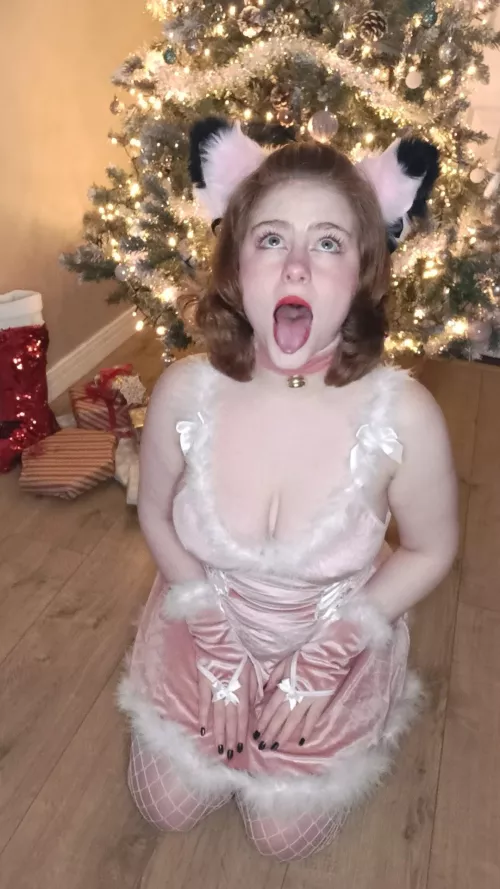 Whats for diner Sir? 😜