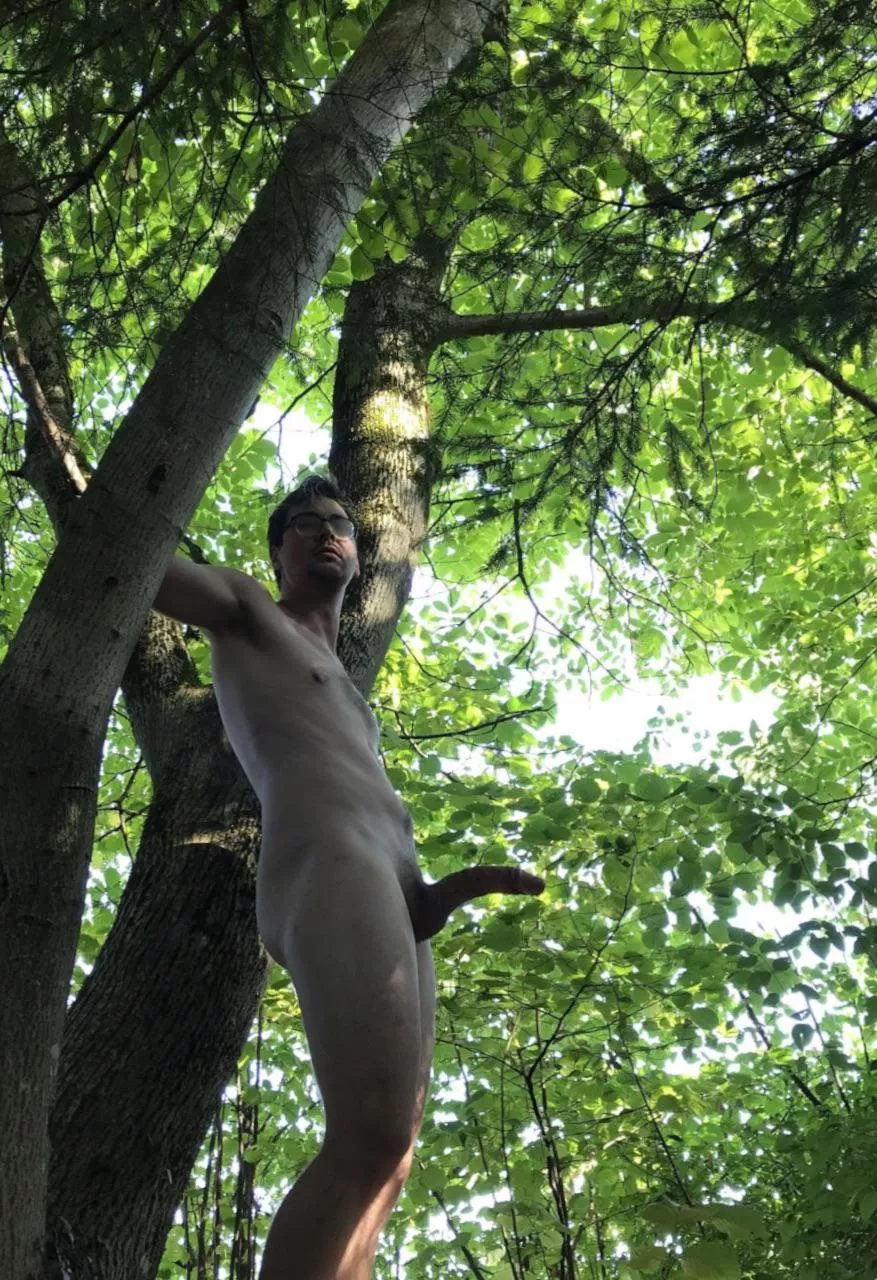 Who likes to be in the woods?