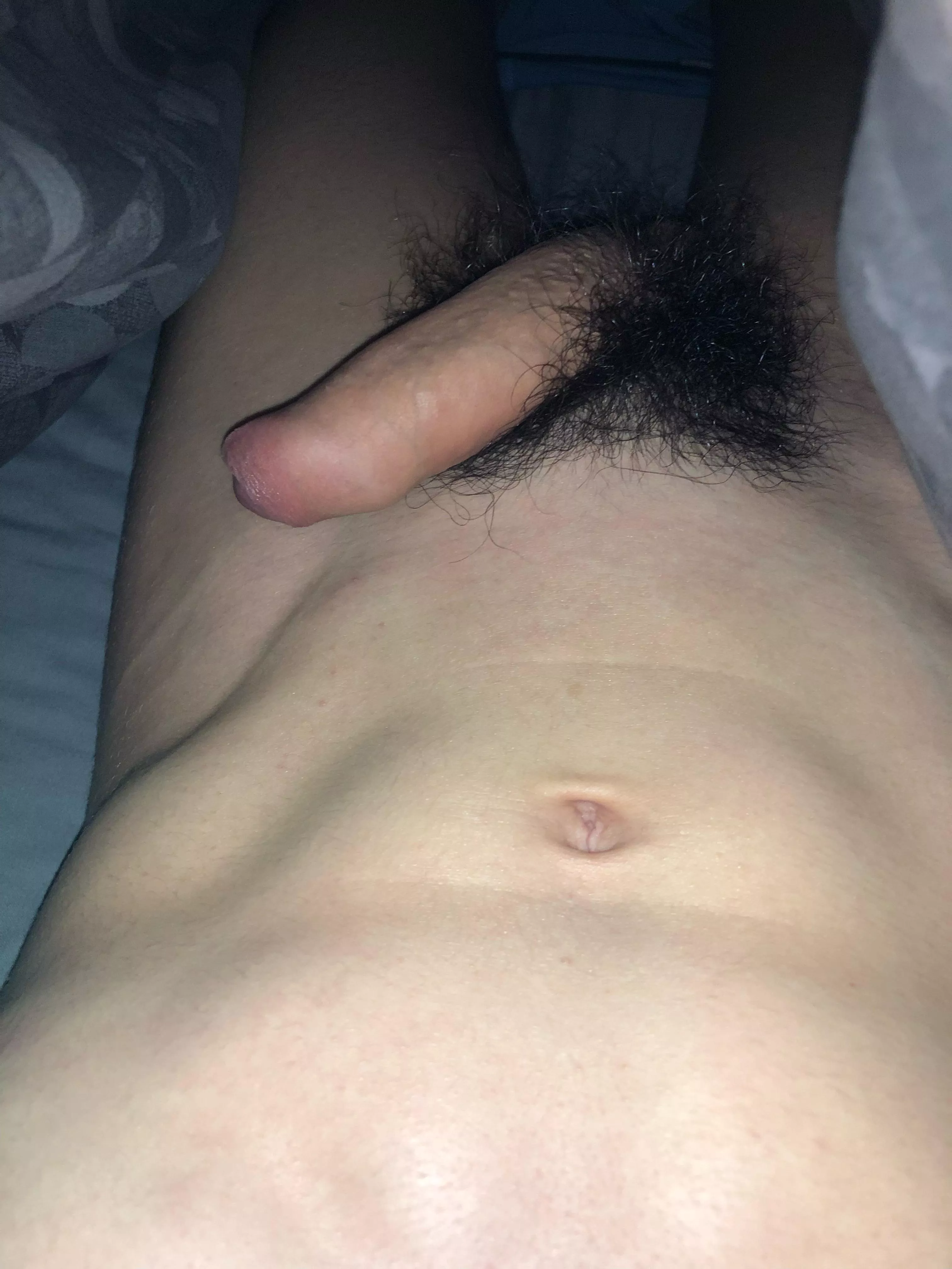 Will meet anyone who messages me and wants this cock