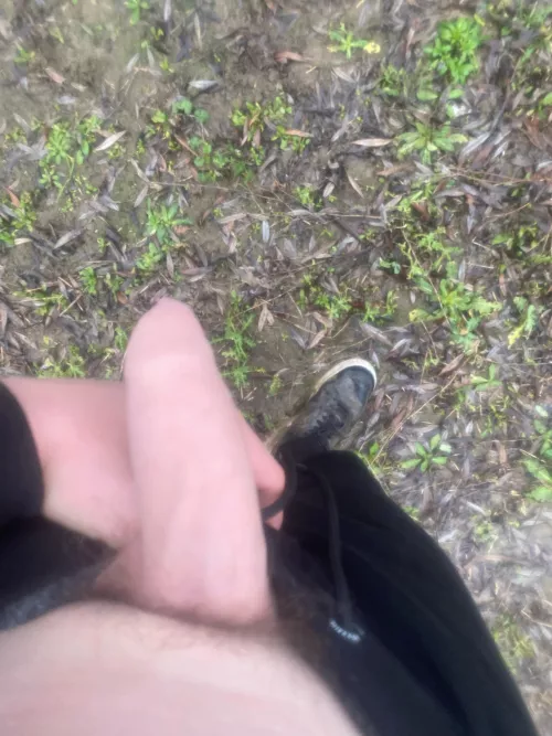 18 m make me hard in public with your pets message me if you have a pet xxx