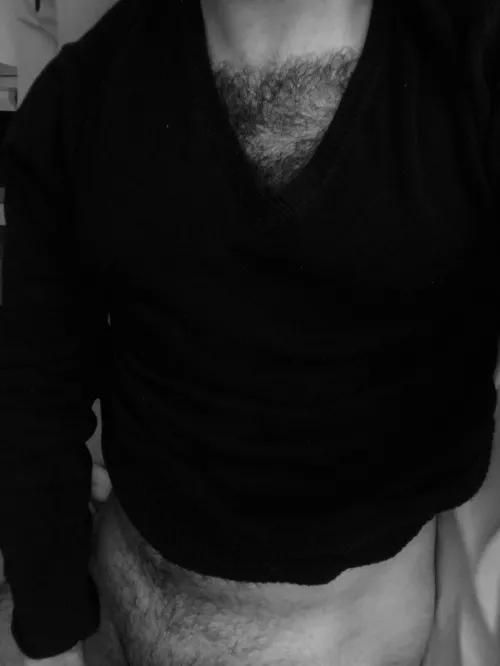 27 Arabian sc: gayhairyvers