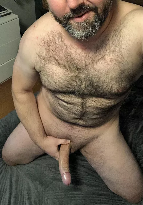 A big, hard Dad cock, and a warm, soft bed, is the perfect setting, for you to be bred. (42)