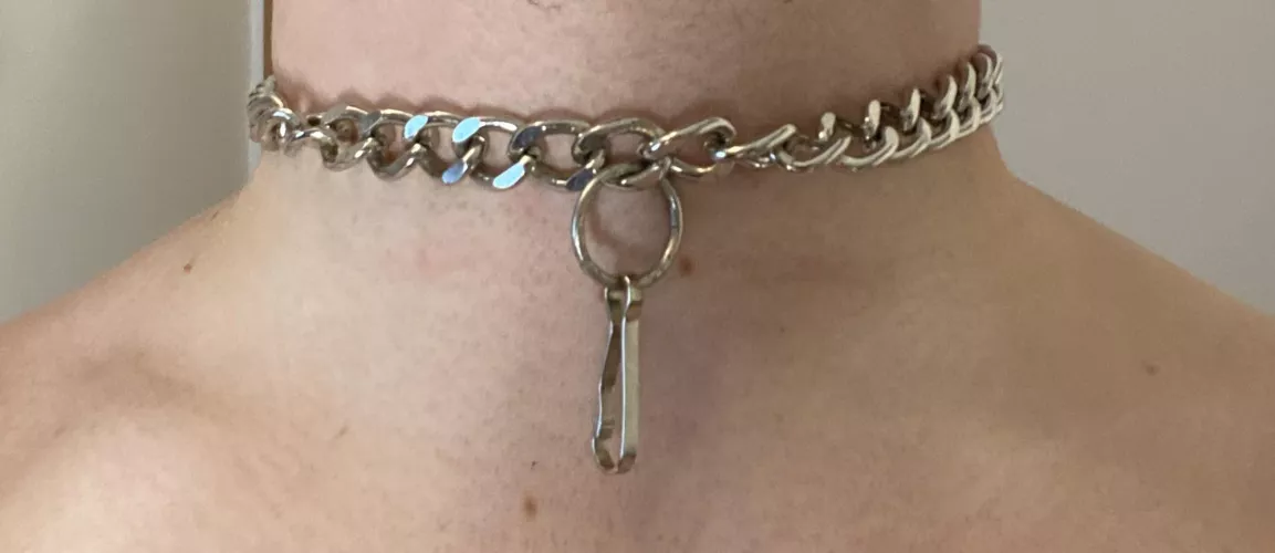 A collar I made myself from the chain of a set of clamps I rarely use, two loops to padlock it securely at the back.