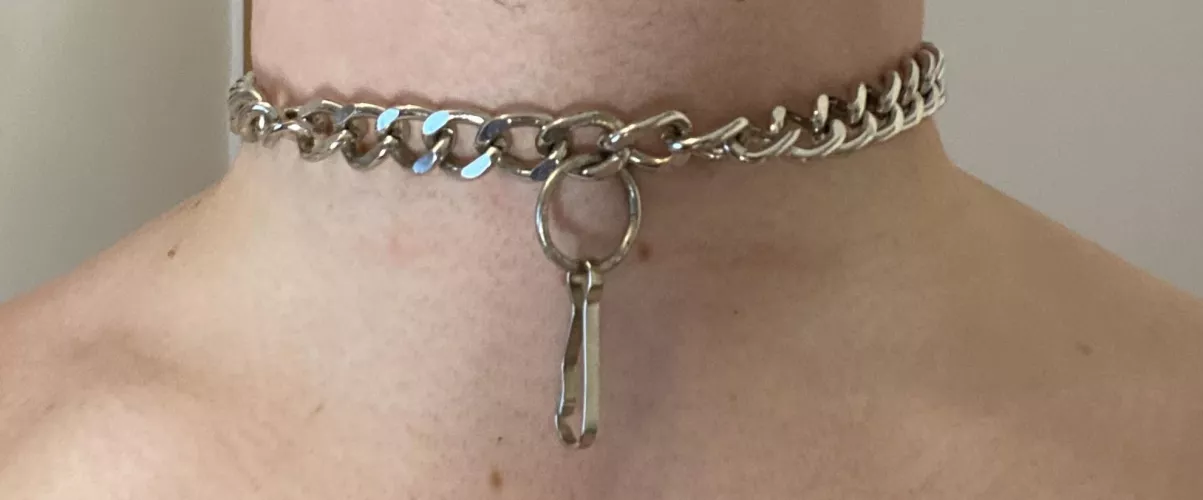A collar I made myself from the chain of a set of clamps I rarely use, two loops to padlock it securely at the back.