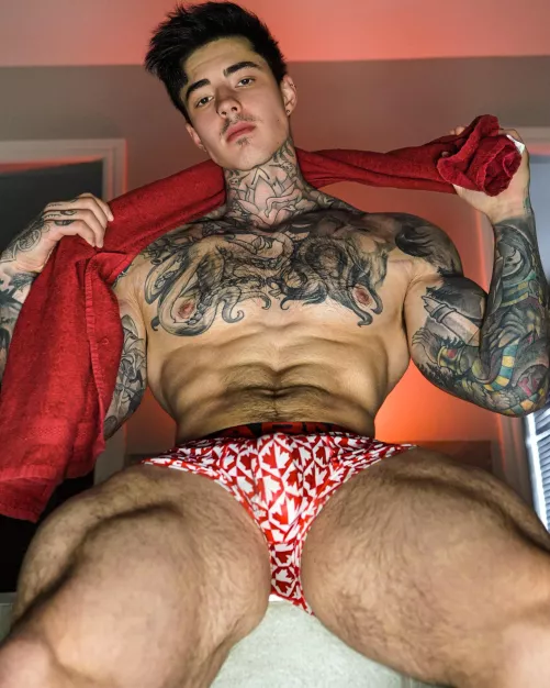 Can I be your favorite Canadian?