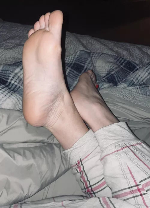 Can you imagine what would happen if I let you close enough to touch?