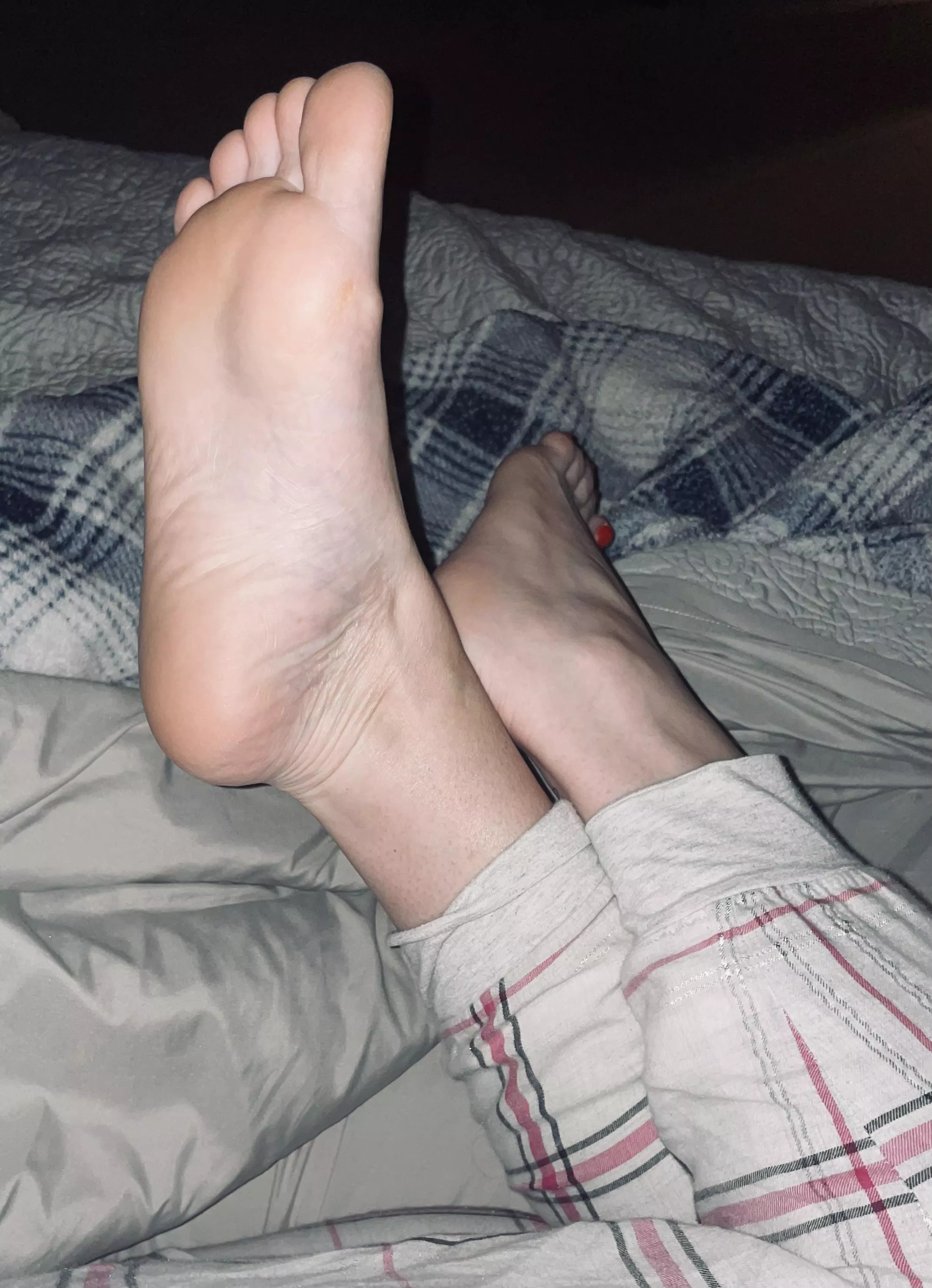 Can you imagine what would happen if I let you close enough to touch?