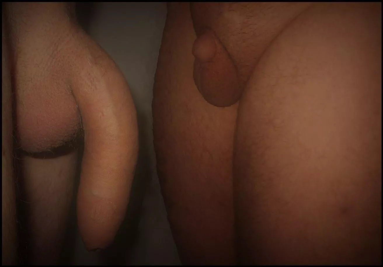 comparing my dick to my best friends cock. (im the tiny one on the right)