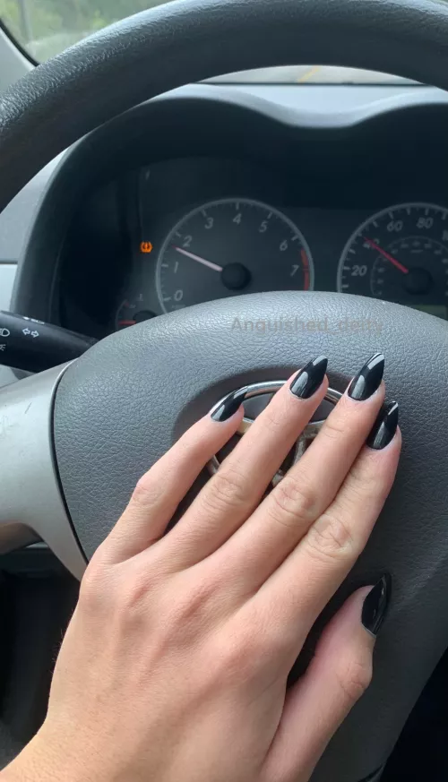 Do you love claws wrapping around you ? ✨