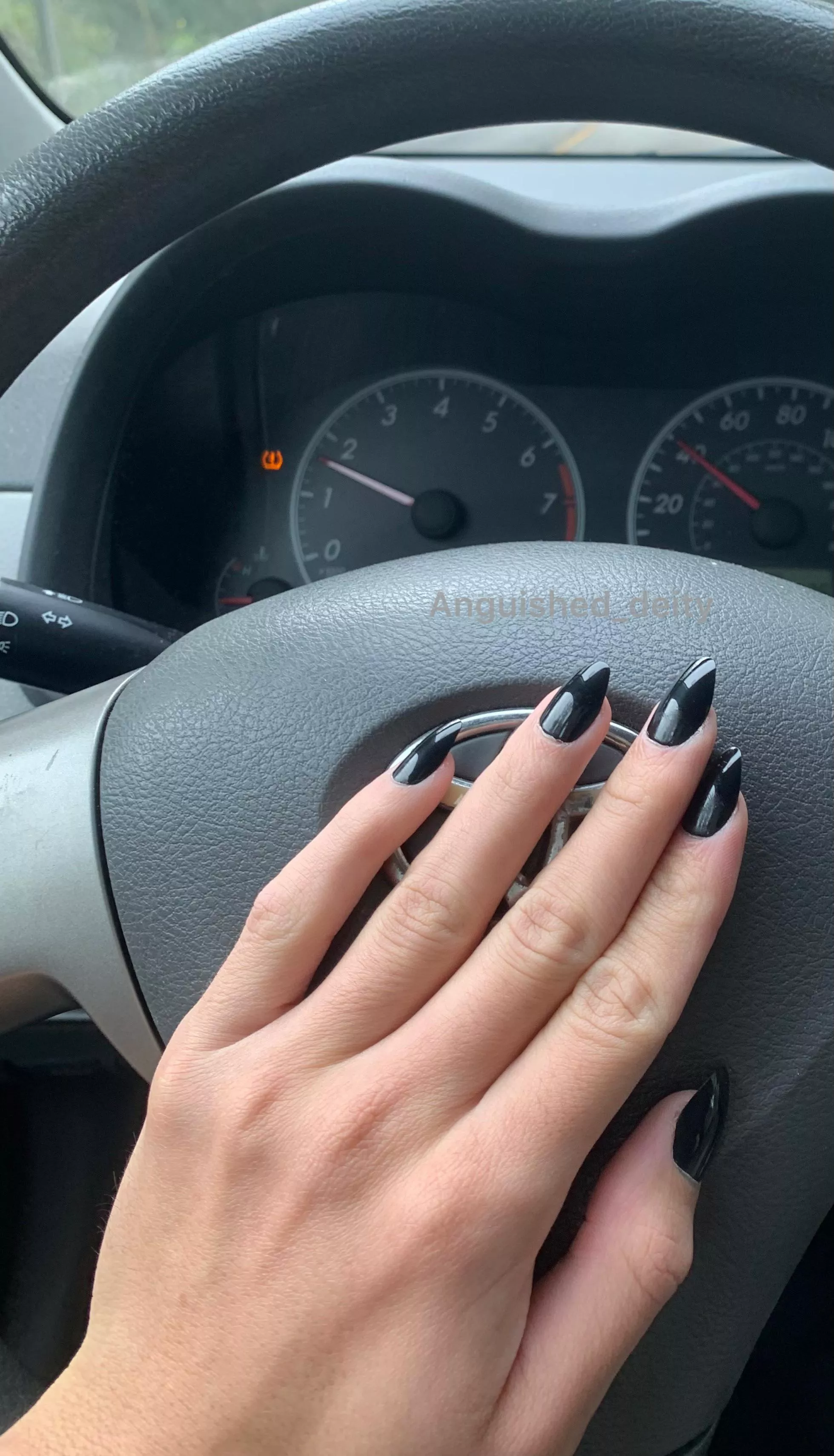 Do you love claws wrapping around you ? ✨