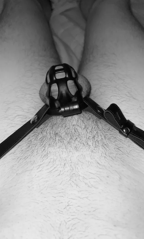 Extremely tied while teasing