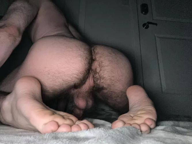 Firm furry ass, hungry for cock