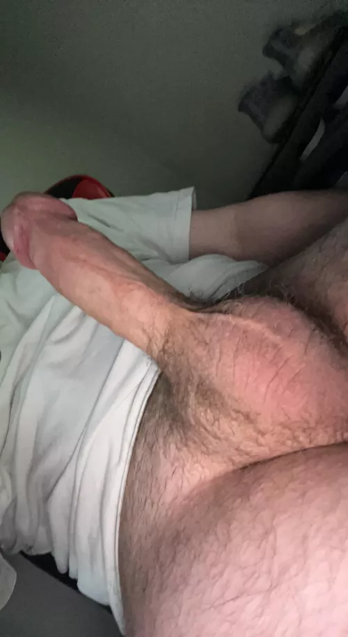 Gay,bi,straight,woman, man Be honest would you suck my cock