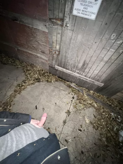 Got big brother watching