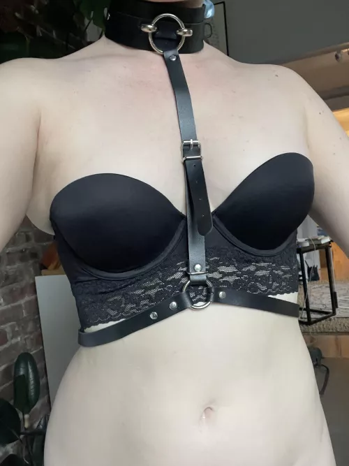 Got some new collars this week but this one is still my fave 🥰