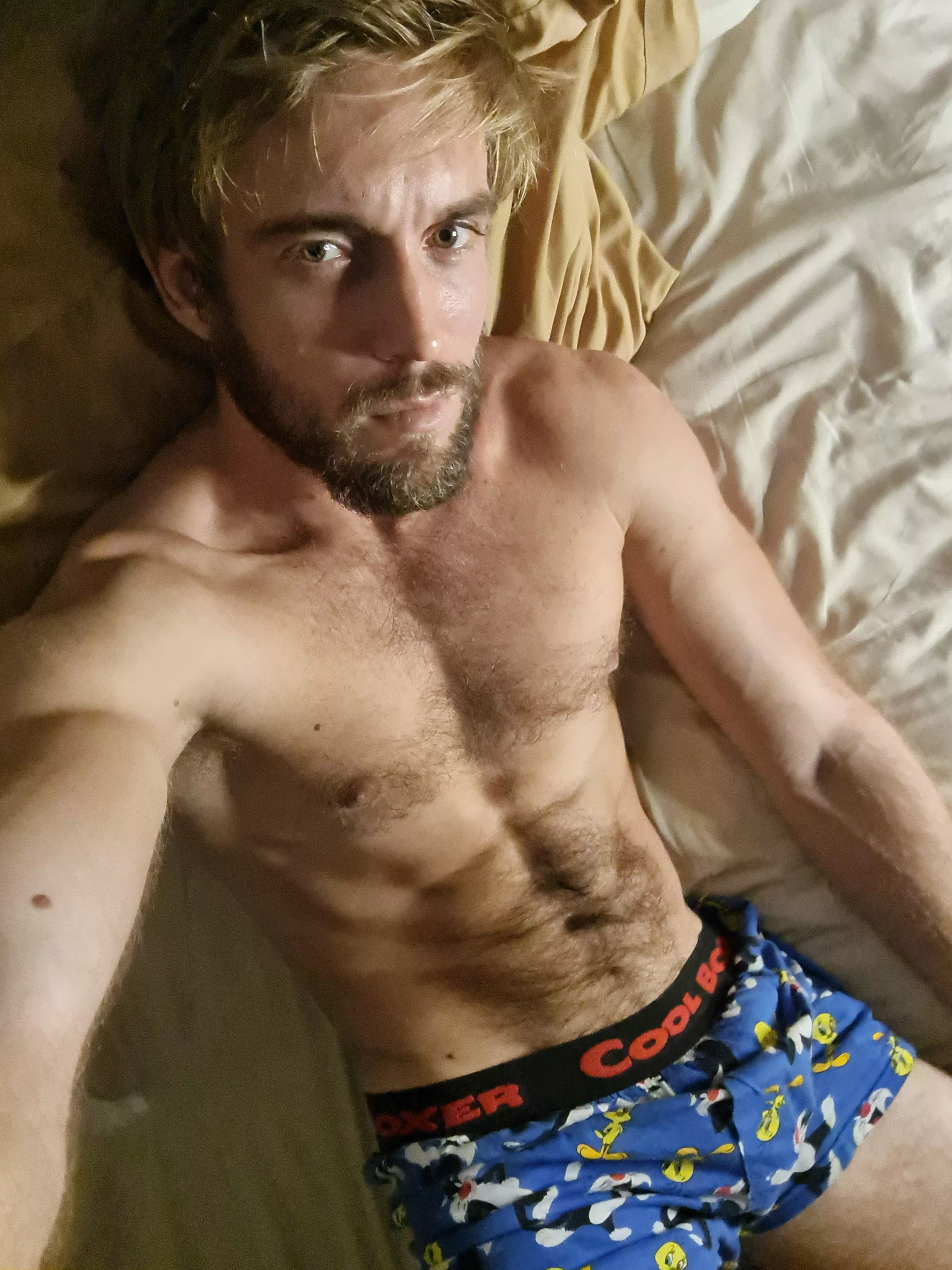 hey good night everyone (32)