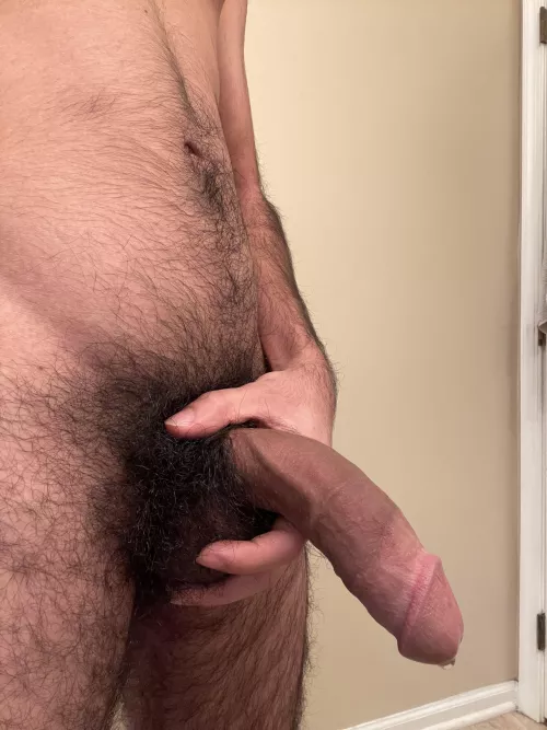 Is this what you been looking for