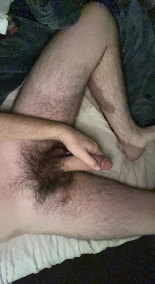 Let’s compare bushes (20)