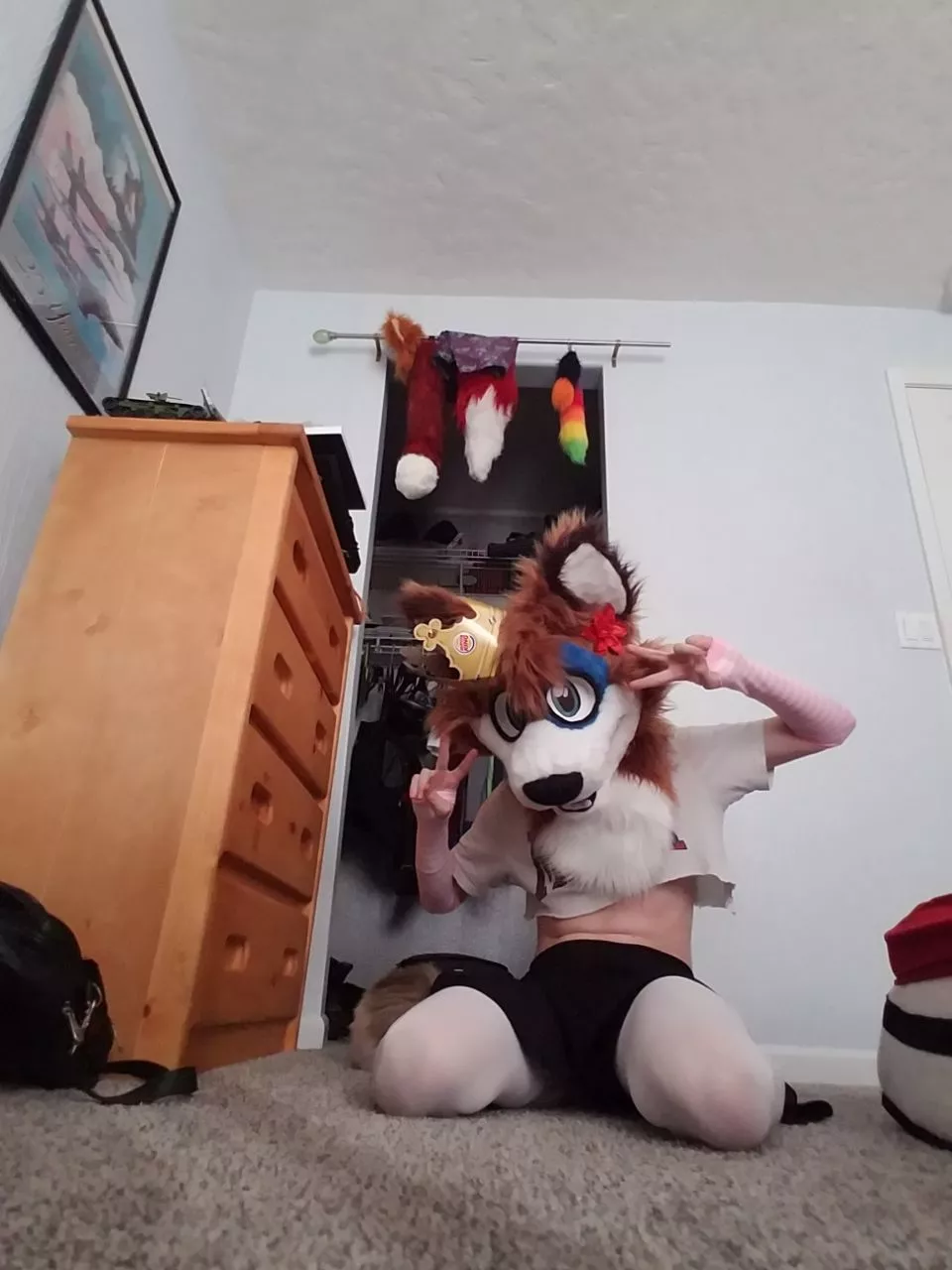 let's play a game~ it's called fill a fox~