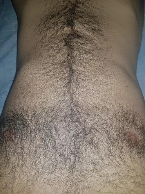 my hairy chest (18)