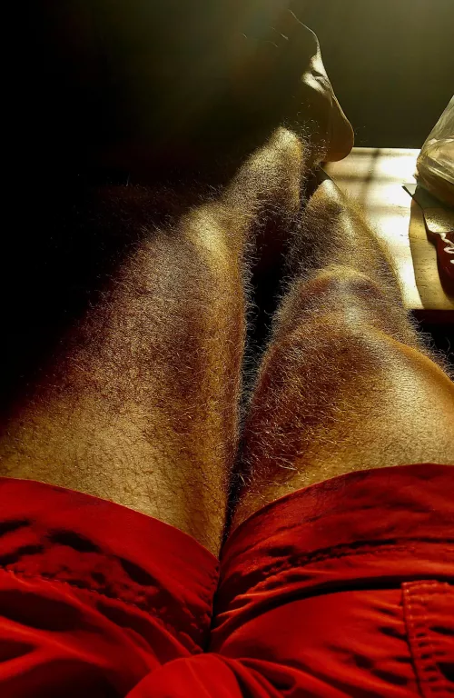 My legs look even hairier in the morning light.