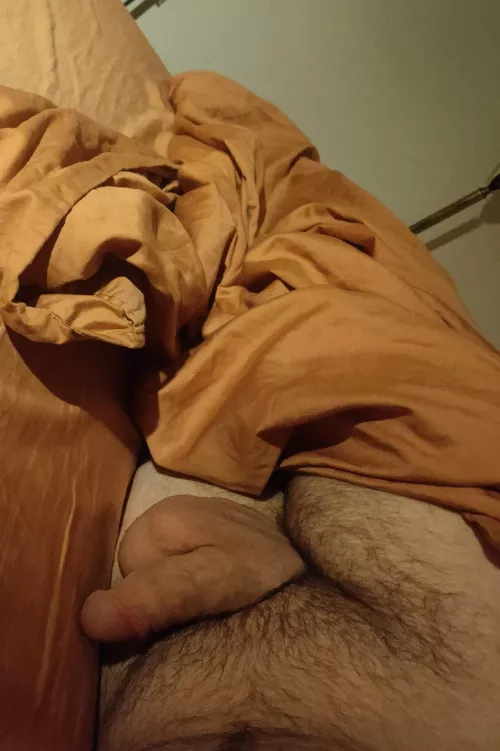 My view while I scroll Reddit