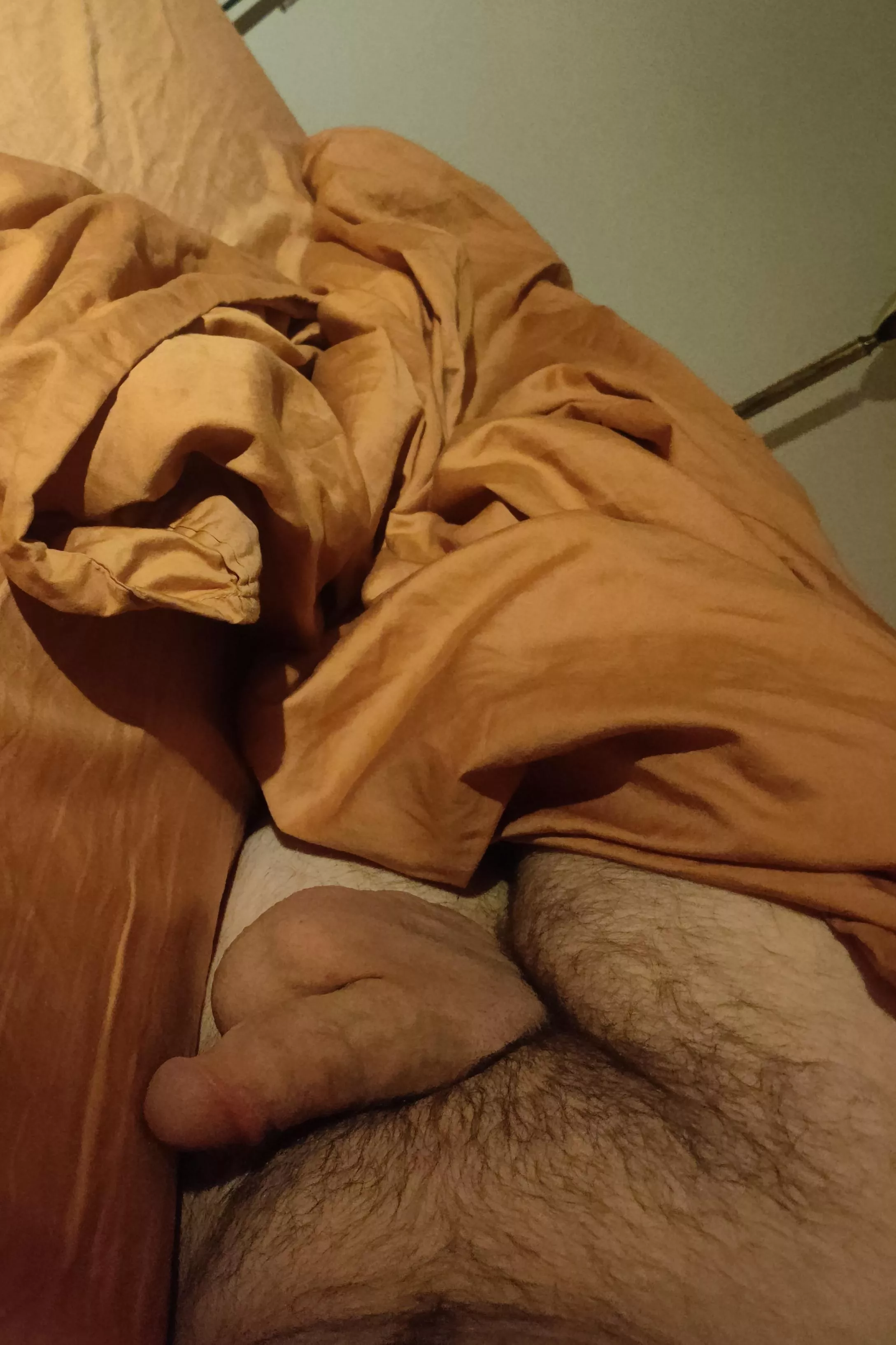 My view while I scroll Reddit