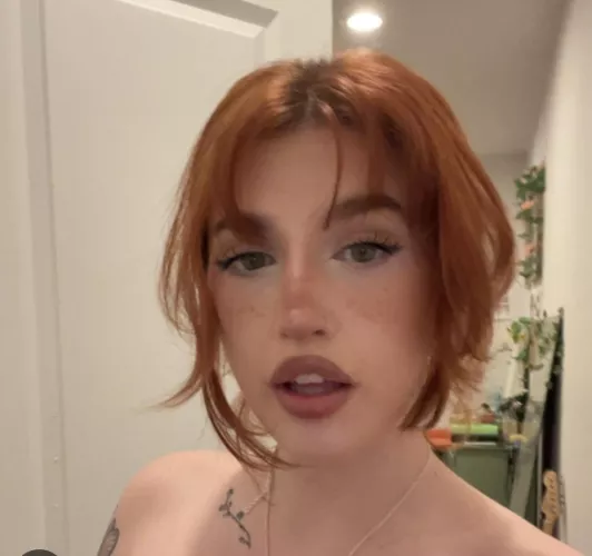 NEXT 10 SUBS FREE 💕