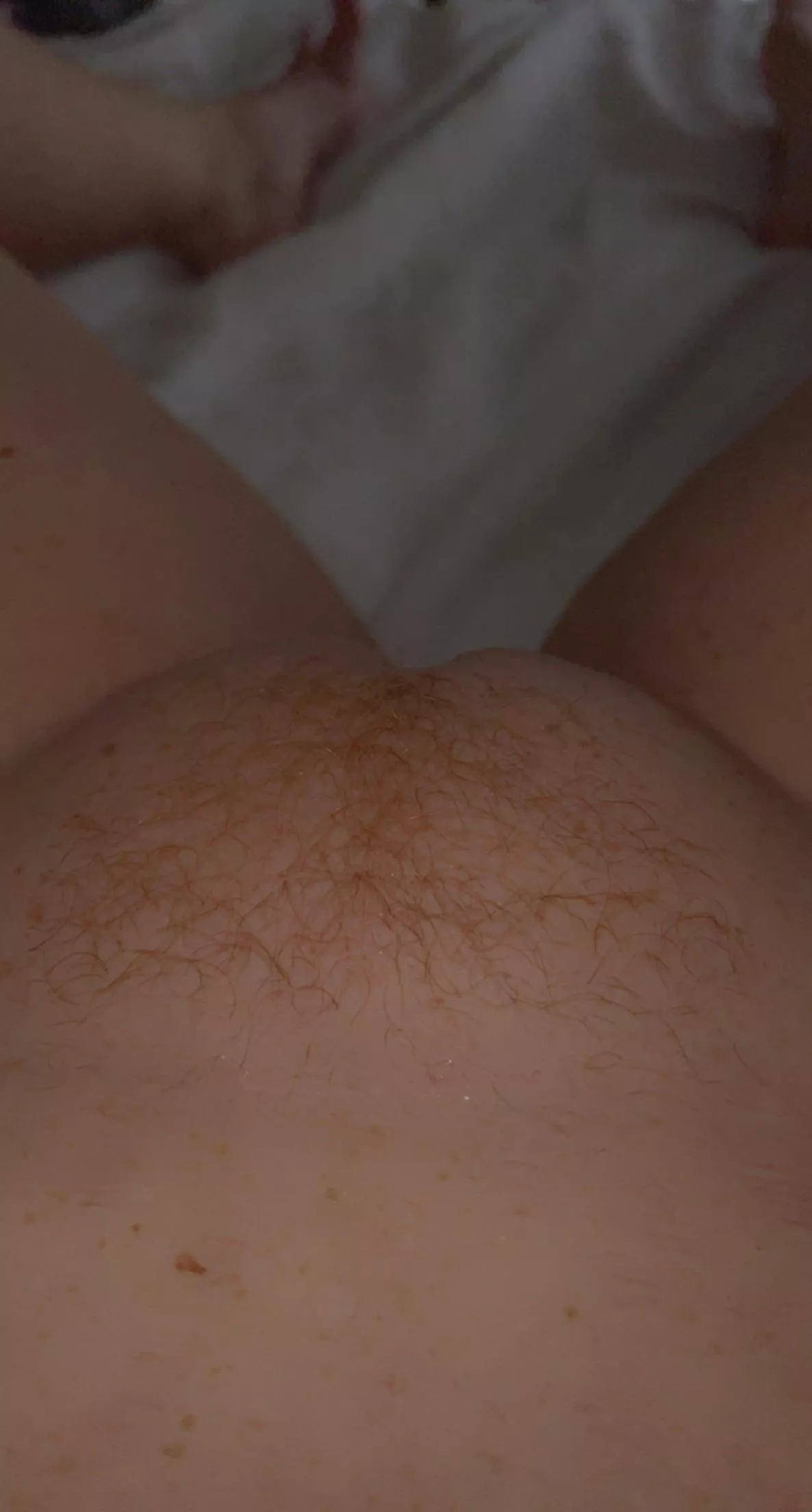 Older Ginger, still wanna play??