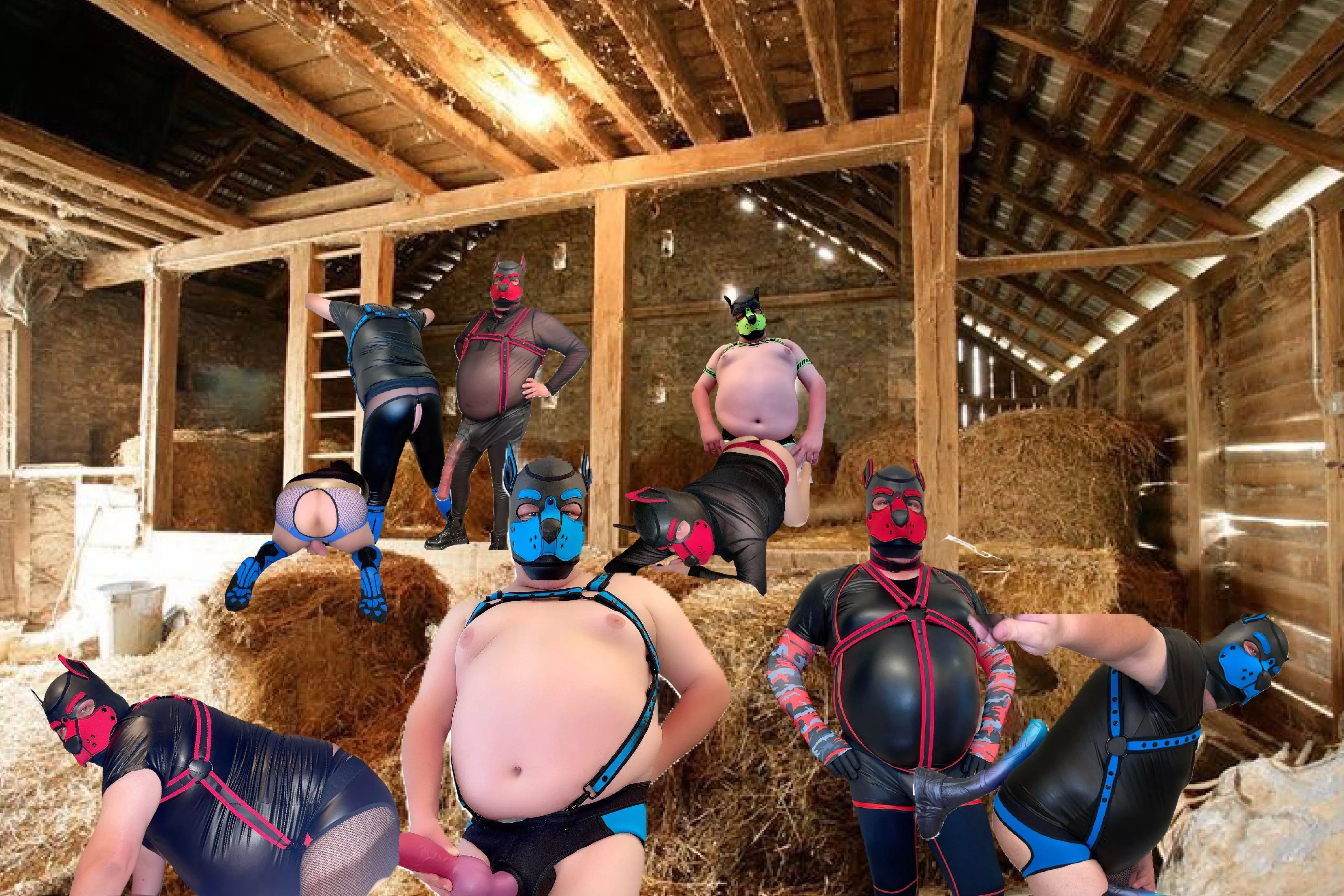 Puppy party, 2022 Year in review!