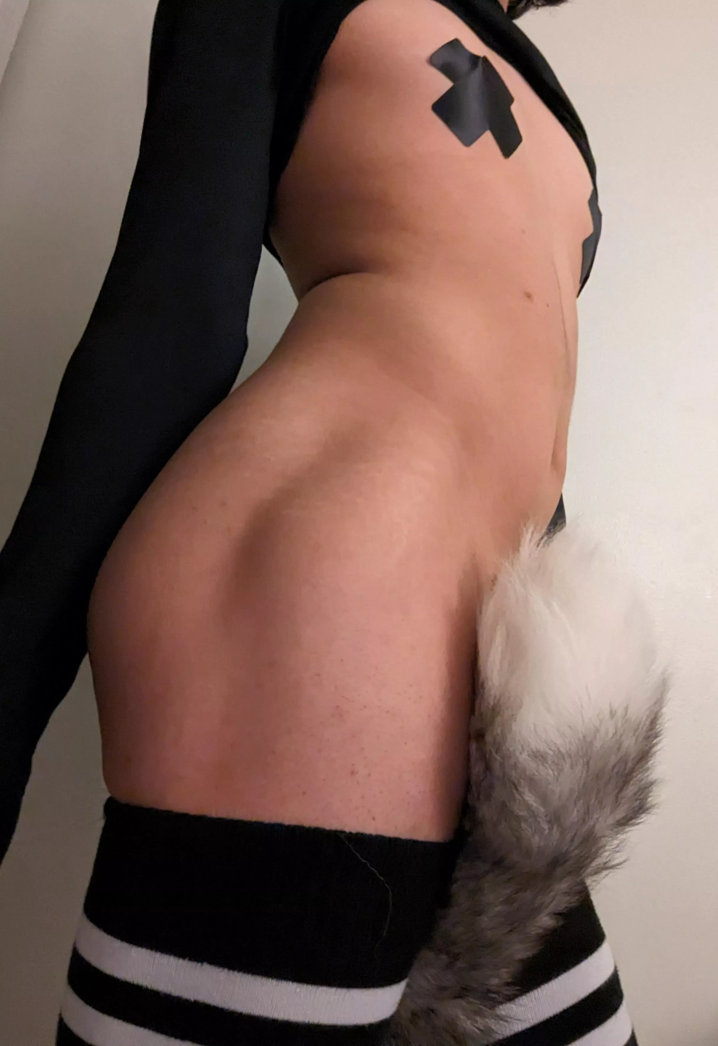 Seems like you caught me with my tail between my legs~