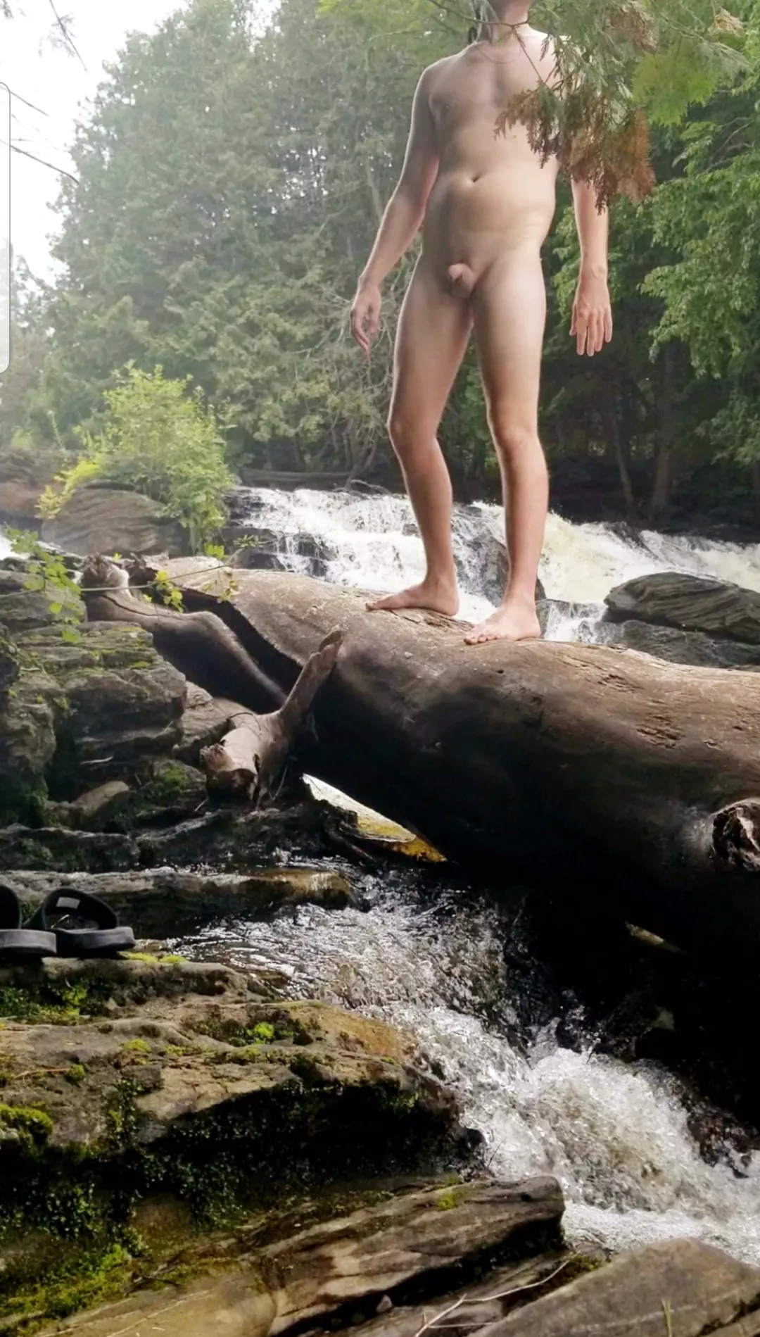 Somewhere in the woods 🌲🌲