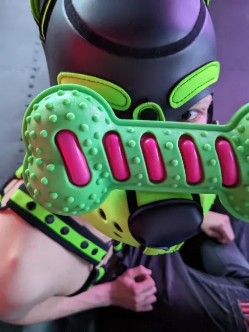 this puppy really likes his bones