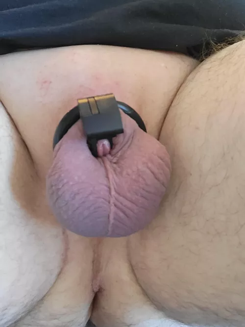 Use it or loose it. oh no... it's lost.