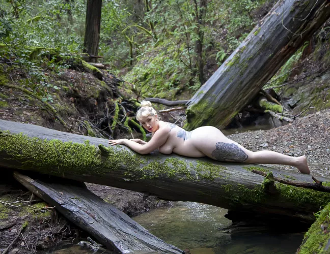 Went for a little hike today