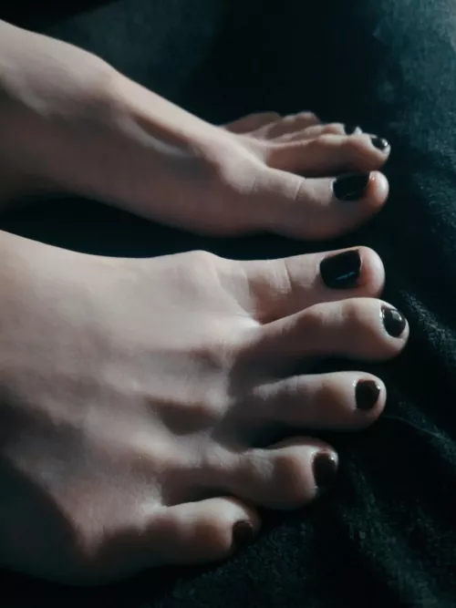 What do you think of them?