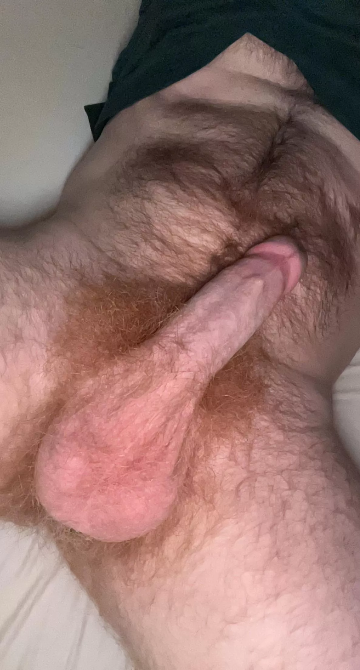 Who wants to see me toy my ass?