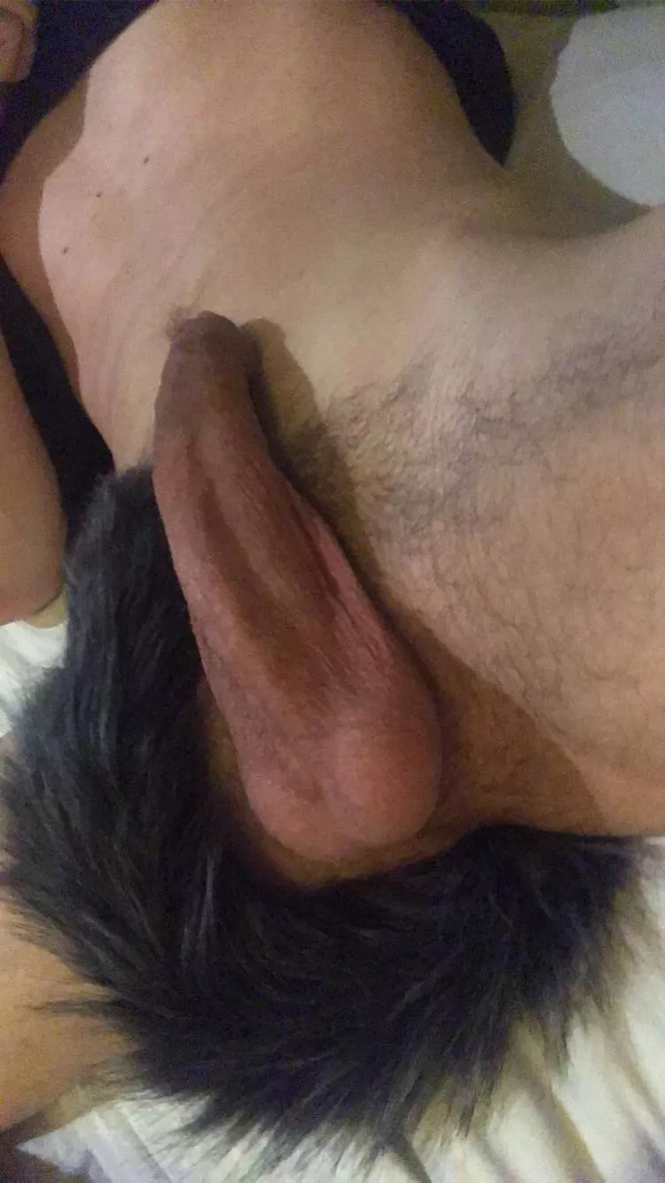 Would you pet that lone wolf on the belly?