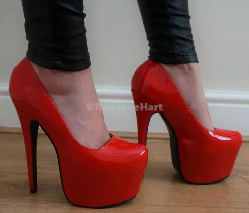 Would you worship my feet and heels baby?