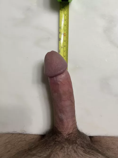 [21yo] Just measured my cock for the first time in a while. What do you think? Close to 7 inches.