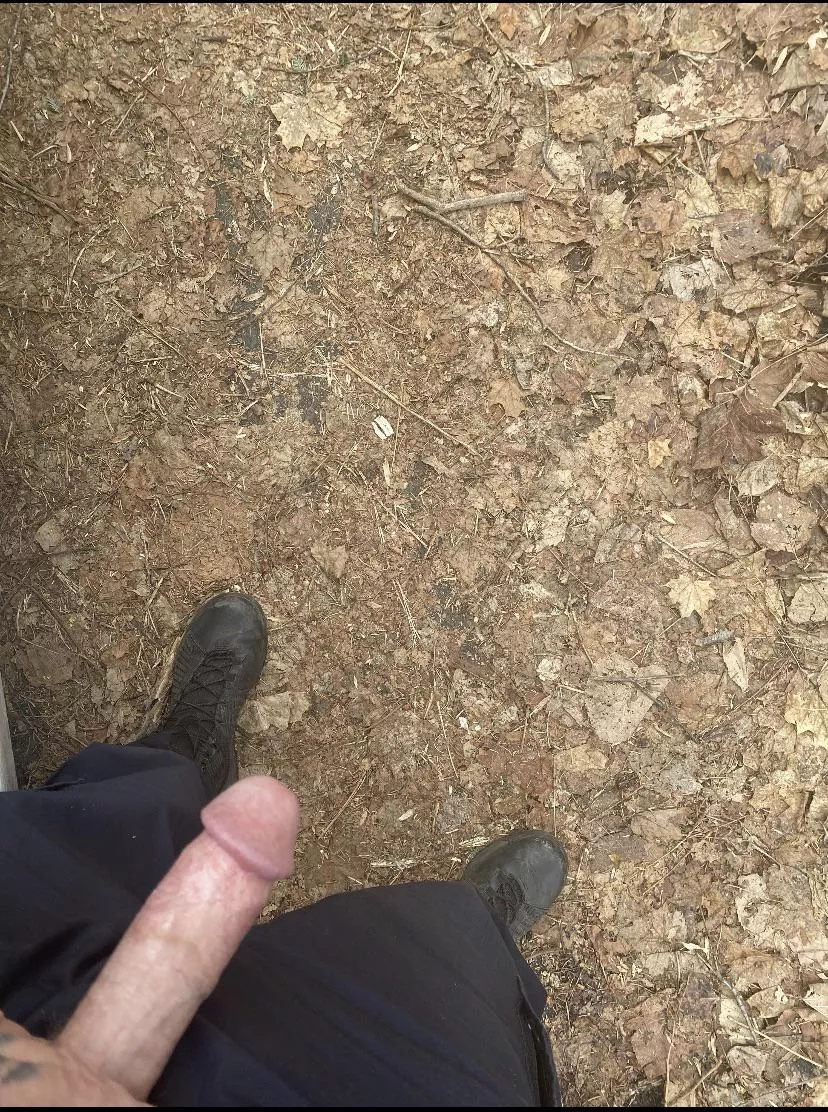 42 officer looking for you in the woods.